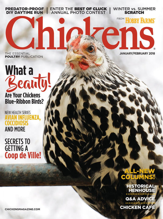 Chickens - January-February 2018
