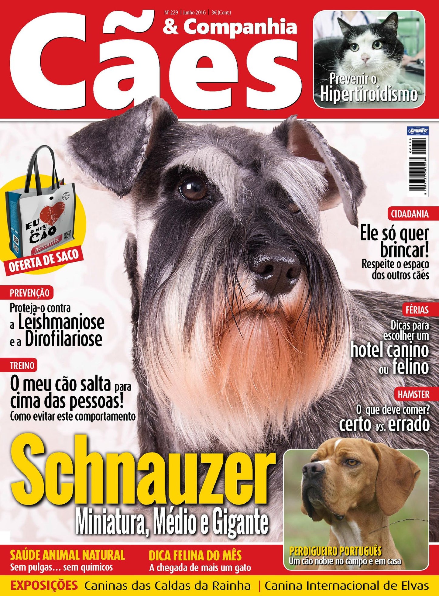 Cães & Companhia - Junho 2016