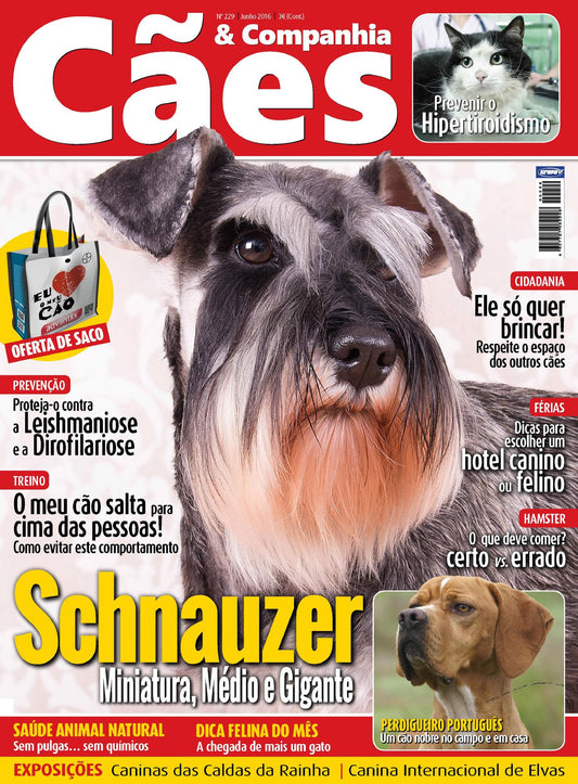 Cães & Companhia - Junho 2016