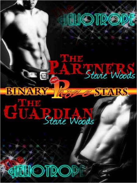 Binary Stars, Vol. 5: The Partners--The Guardian