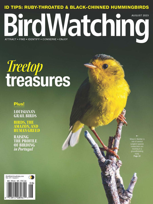 BirdWatching
