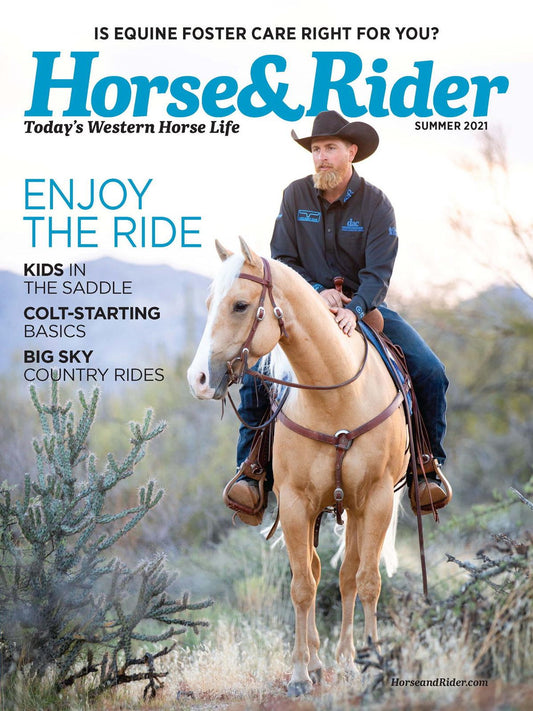 Horse and Rider