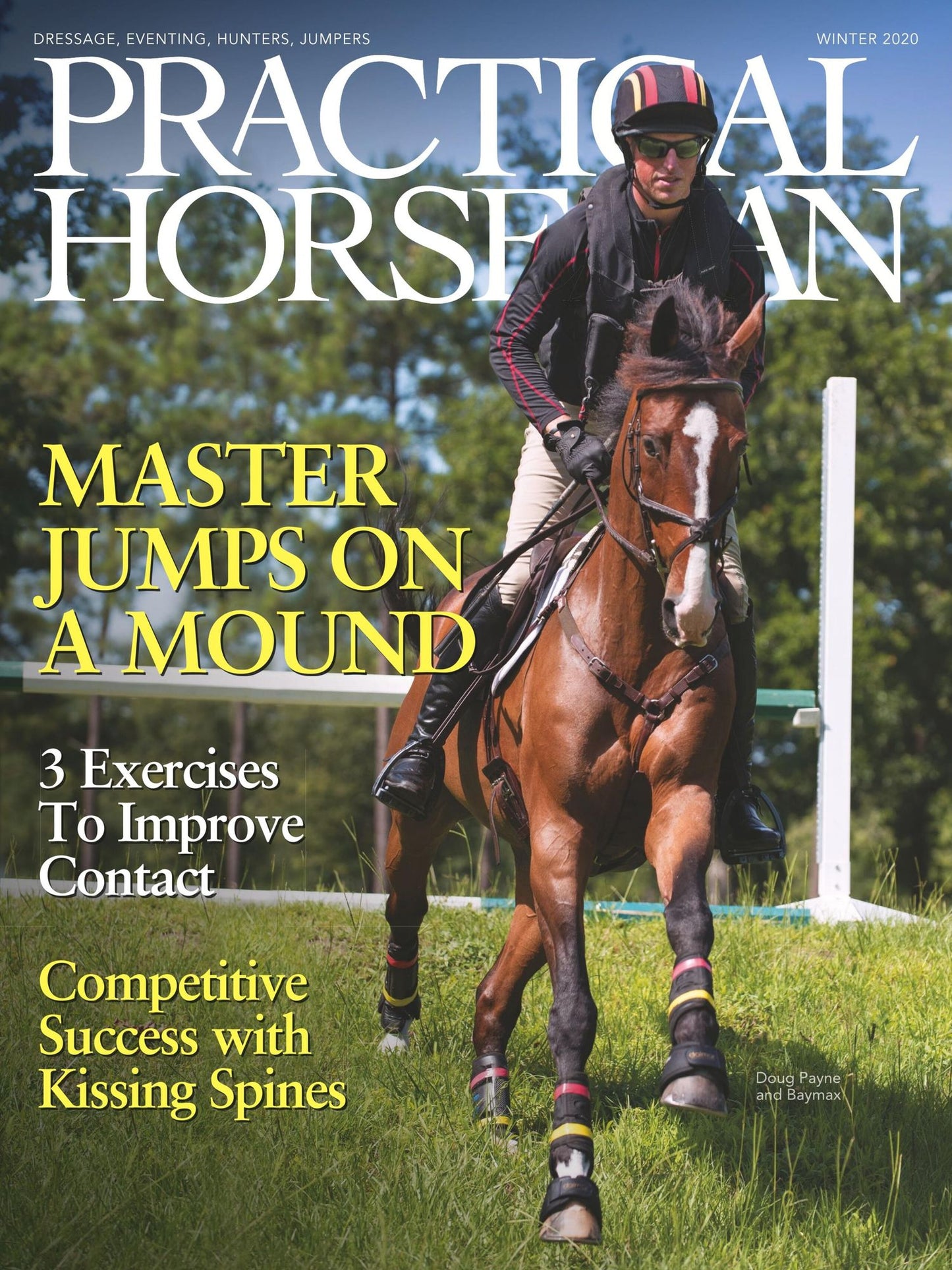 Practical Horseman