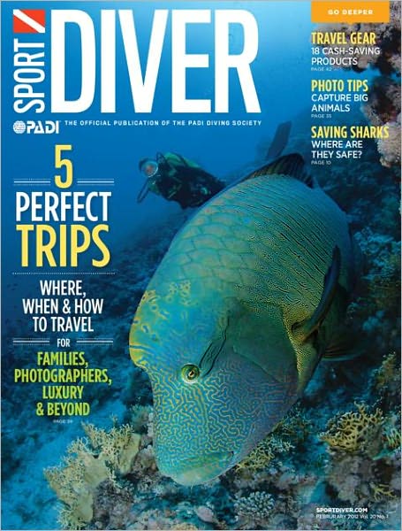 Sport Diver