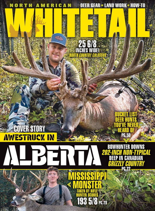 North American Whitetail