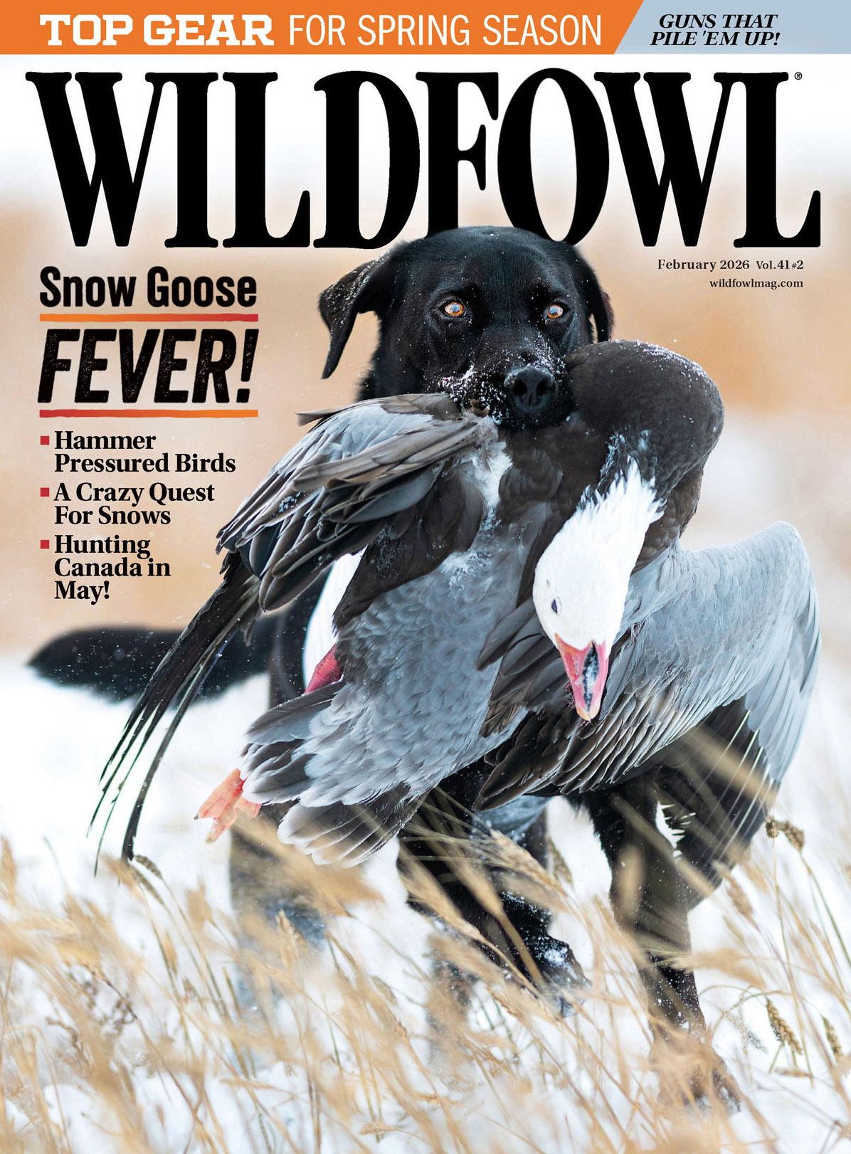 Wildfowl