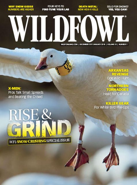 Wildfowl