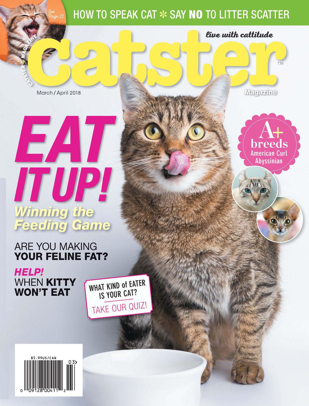 Catster