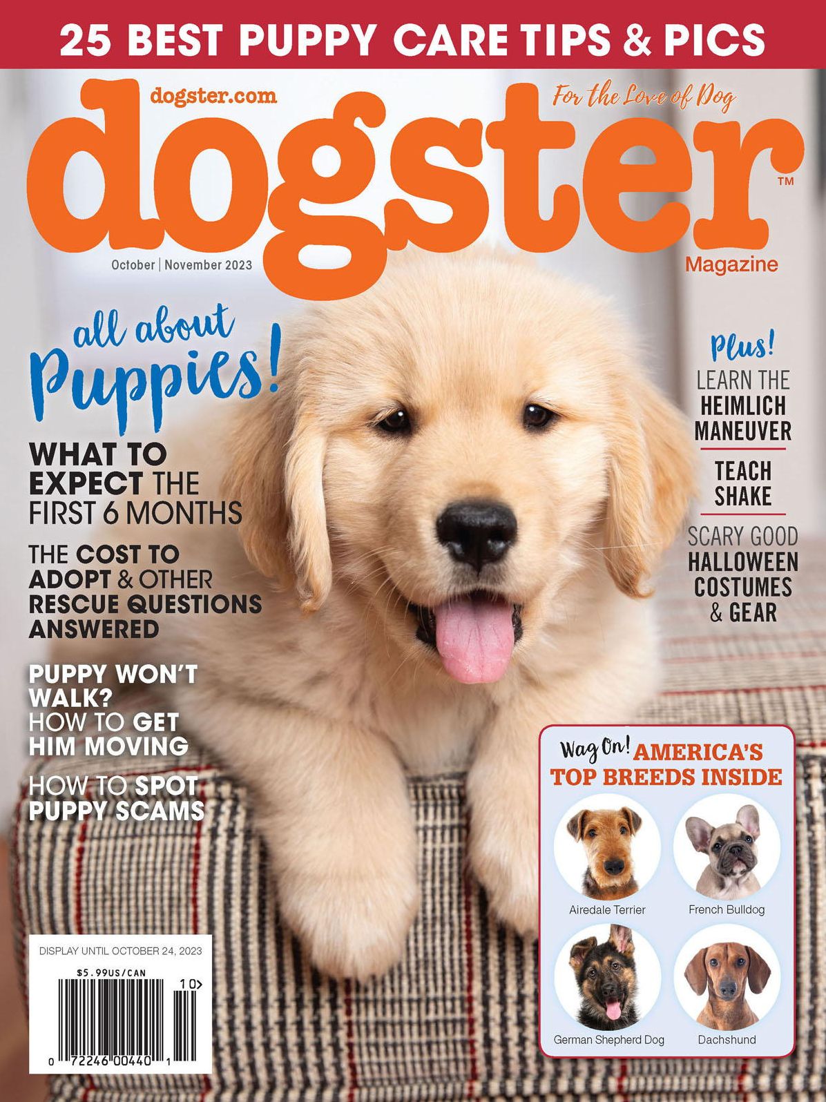 Dogster