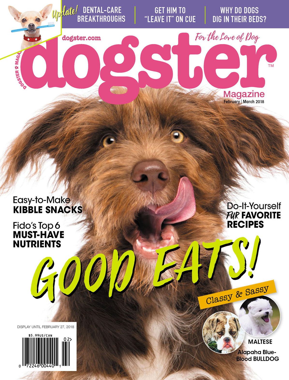 Dogster