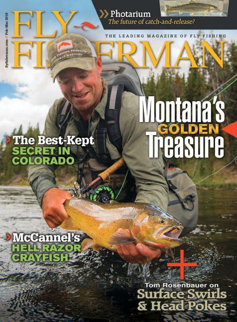 Fly Fisherman
