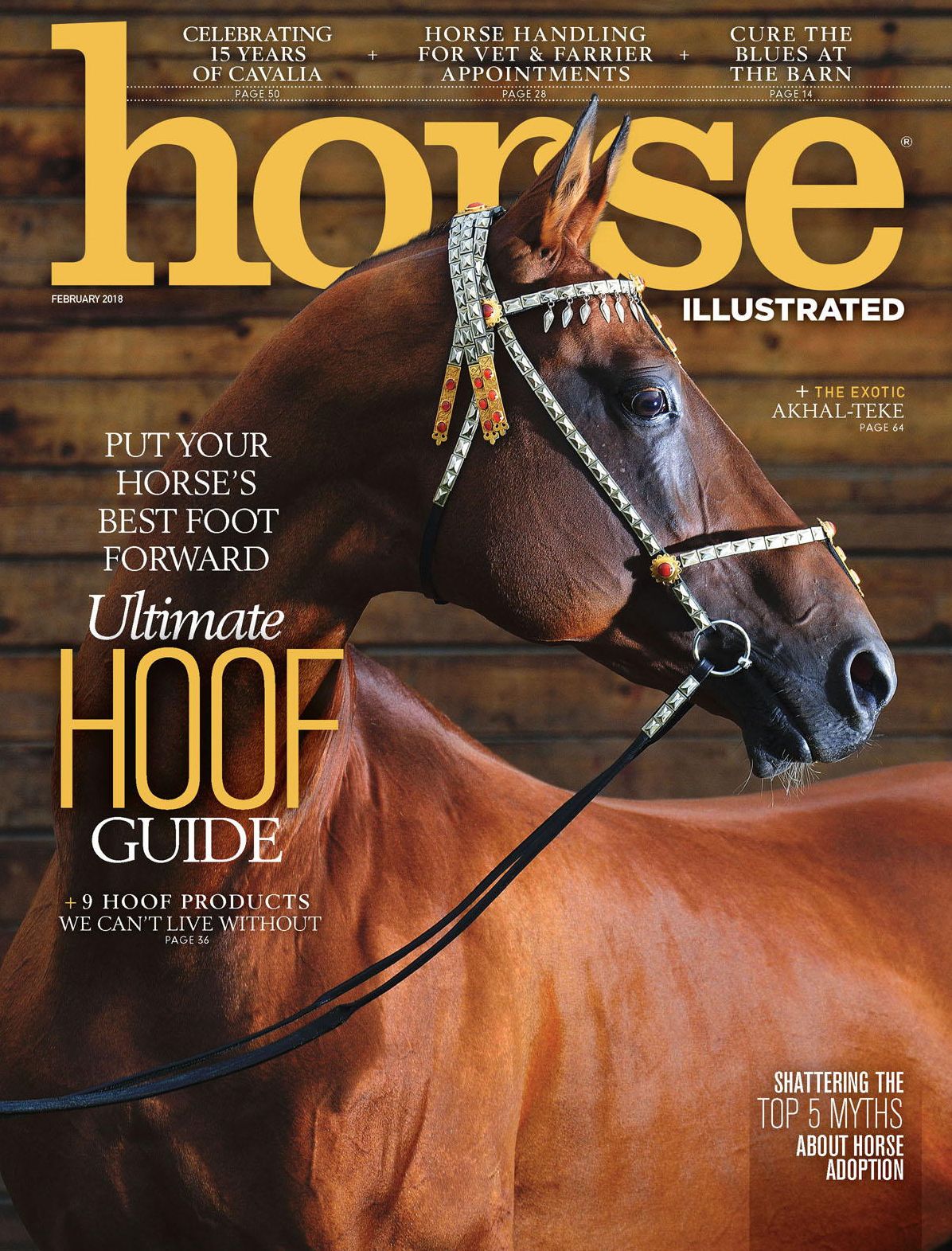 Horse Illustrated