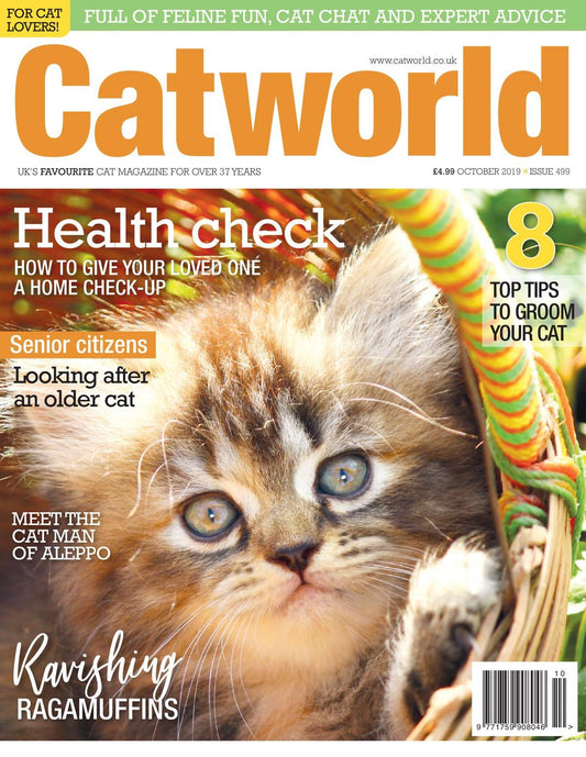 Catworld