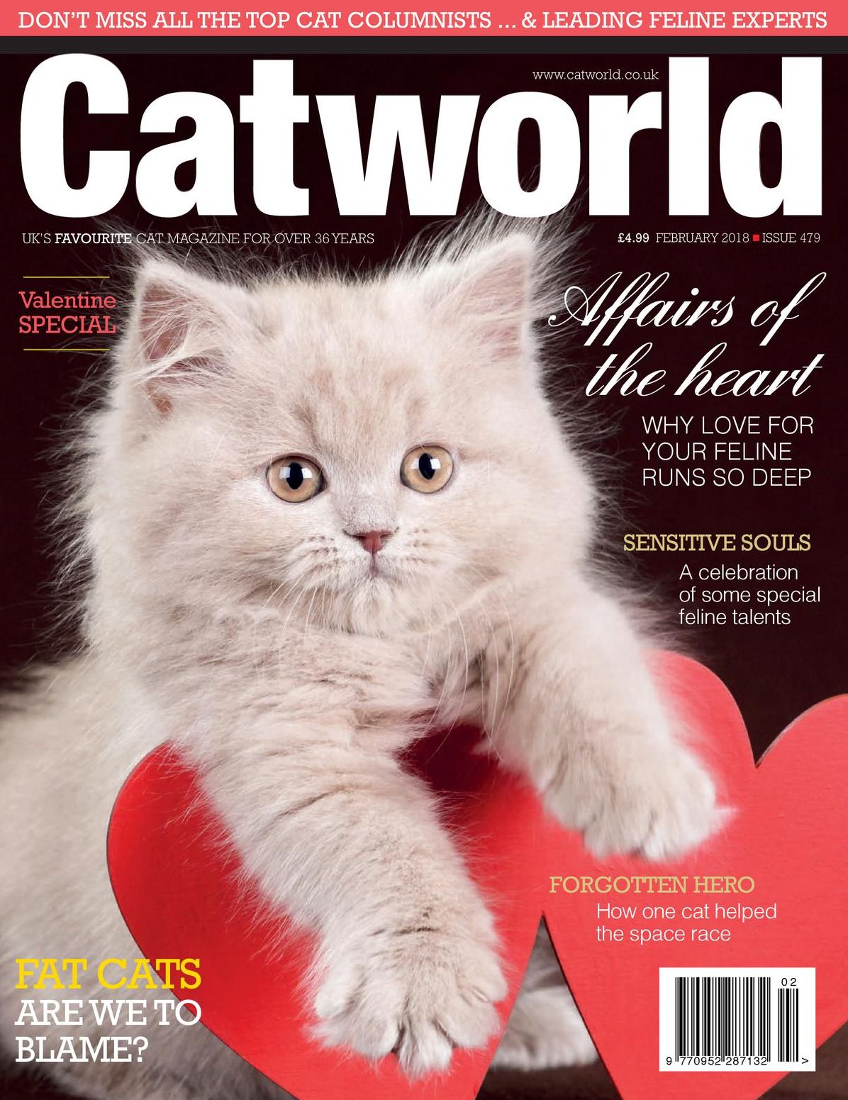 Catworld