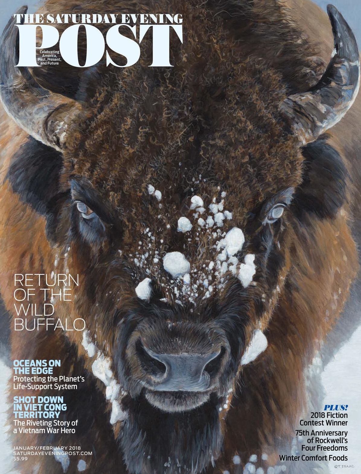 The Saturday Evening Post