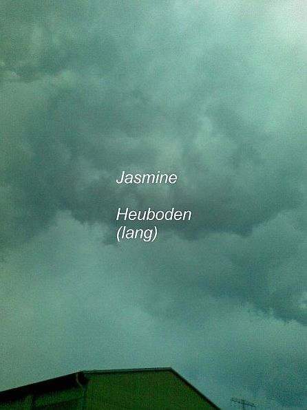 Heuboden (lang)