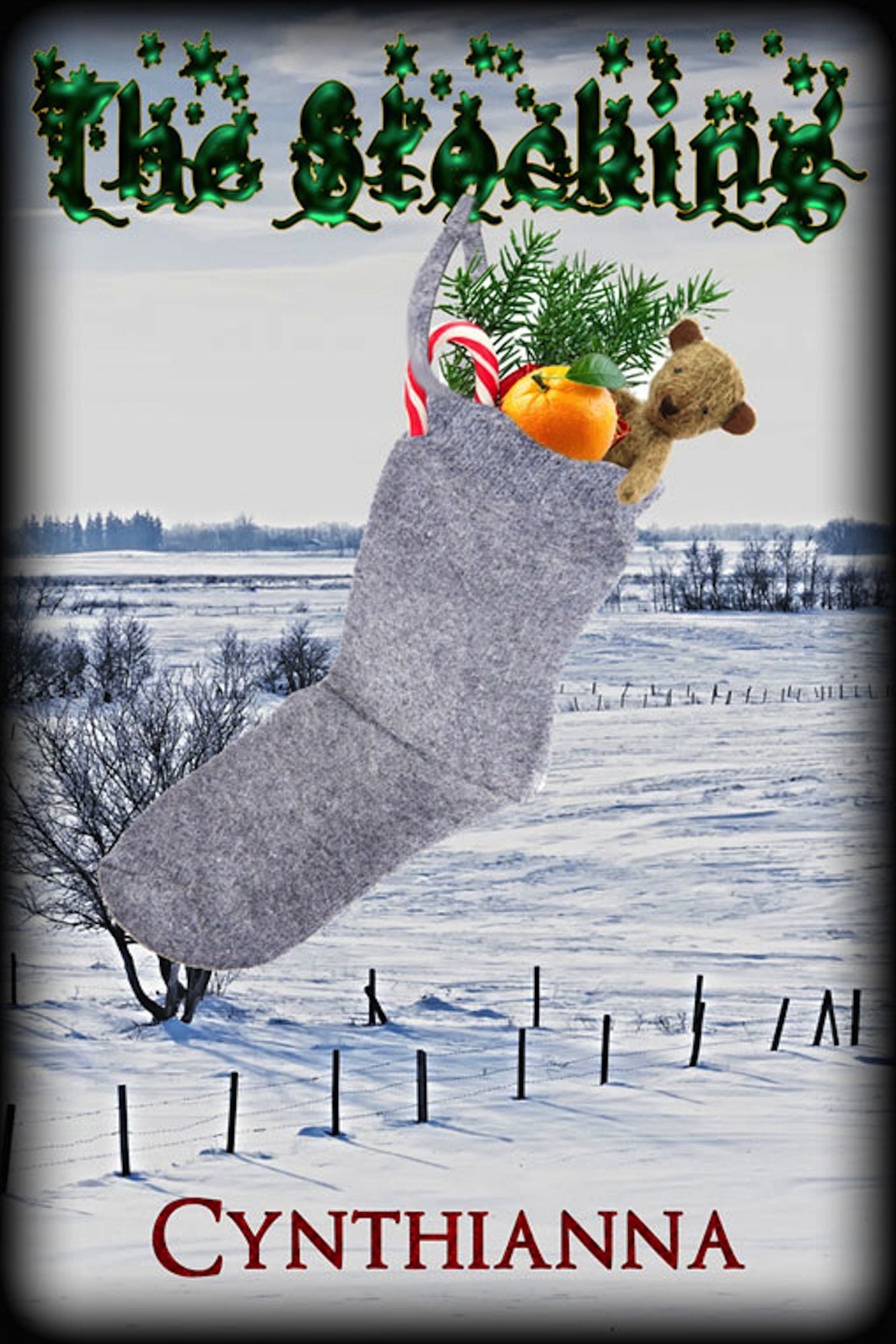 The Stocking