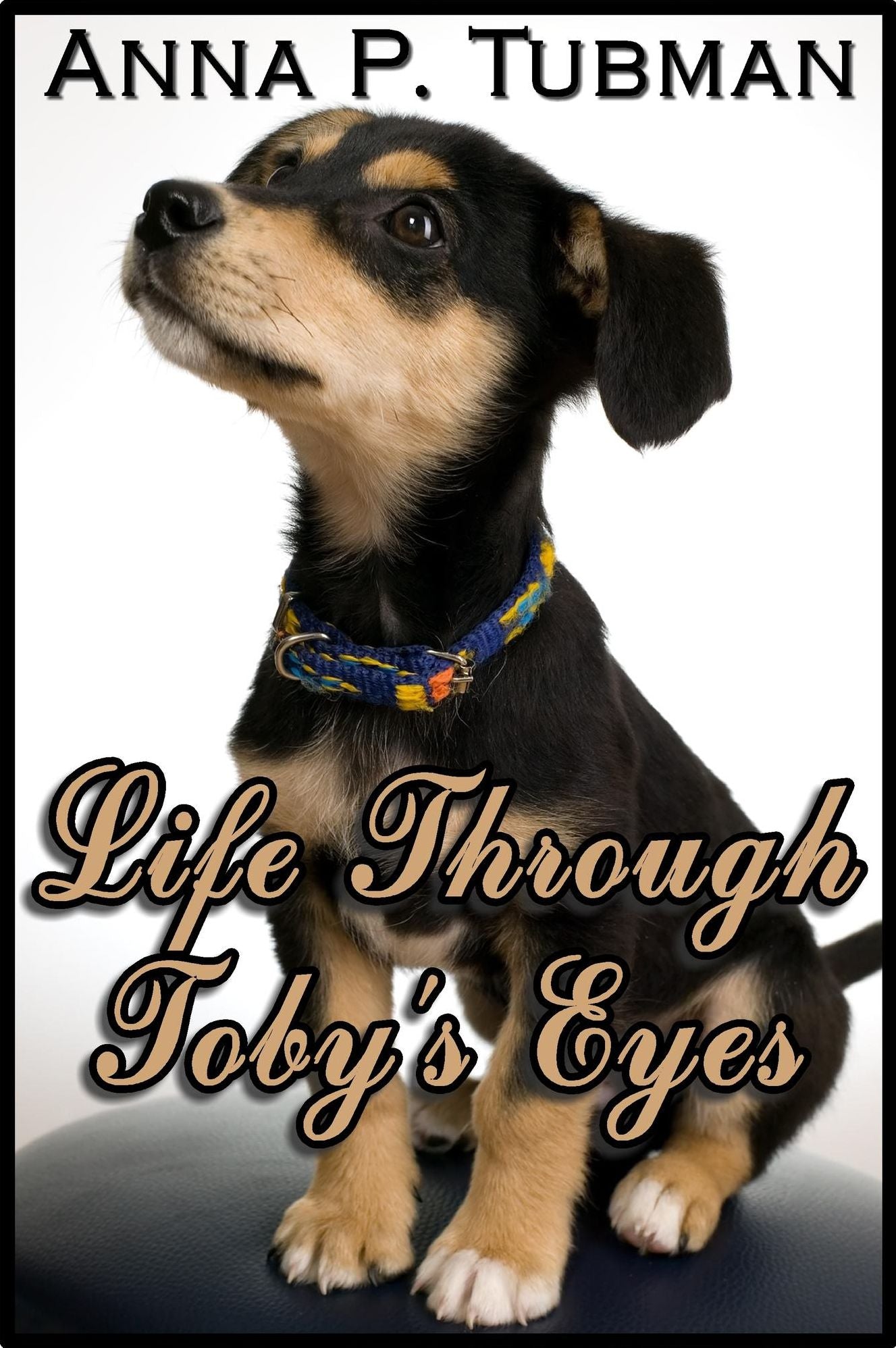 Life Through Toby's Eyes