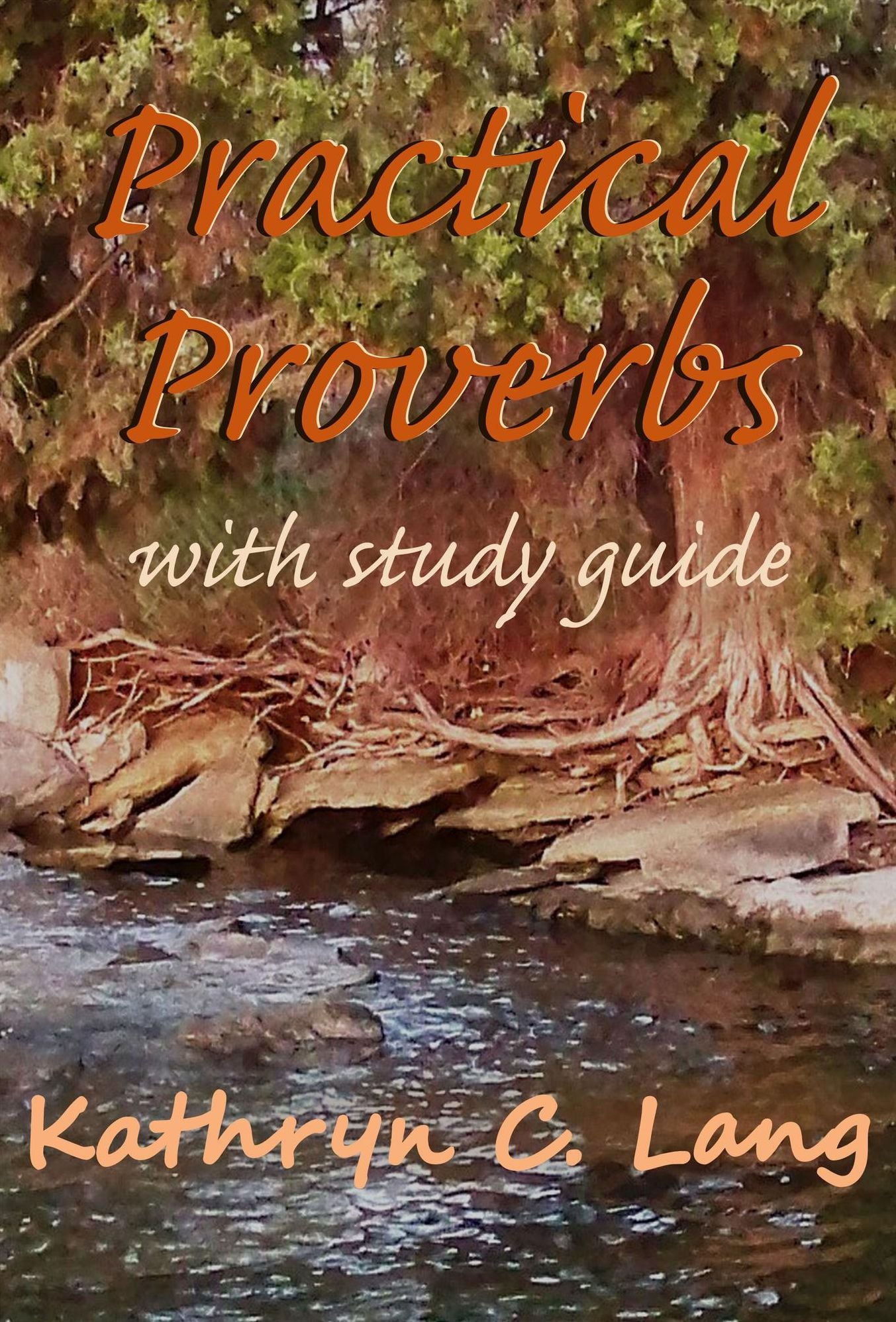 Practical Proverbs with Study Guide