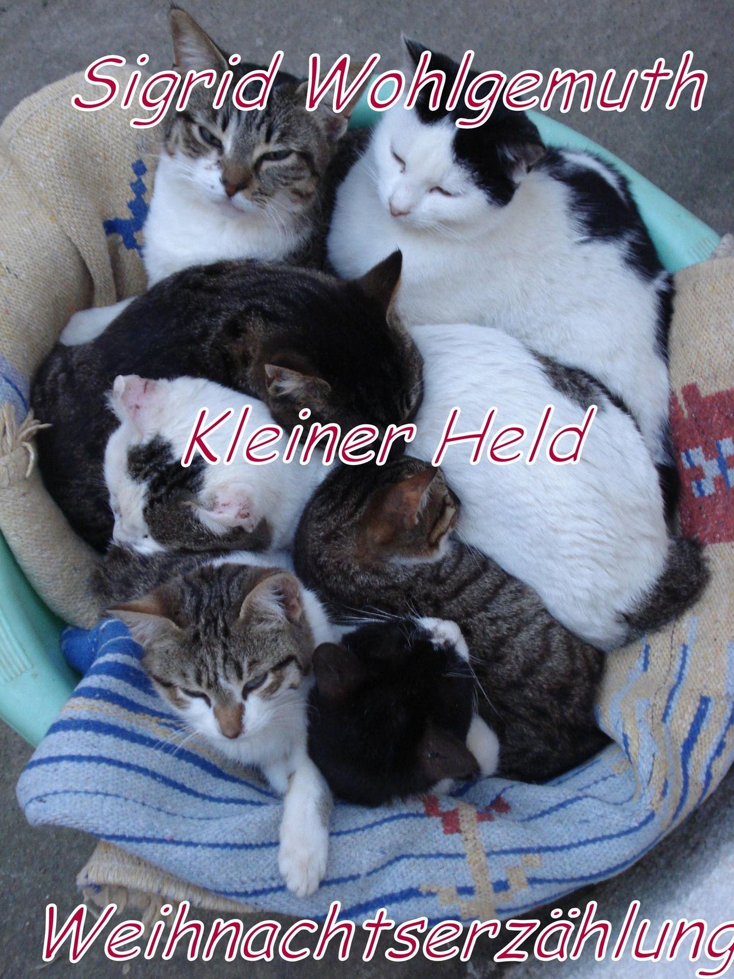 Kleiner Held