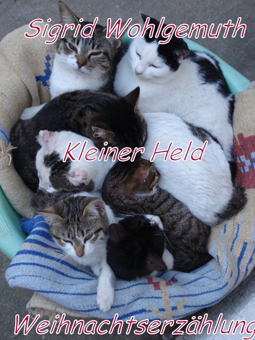 Kleiner Held