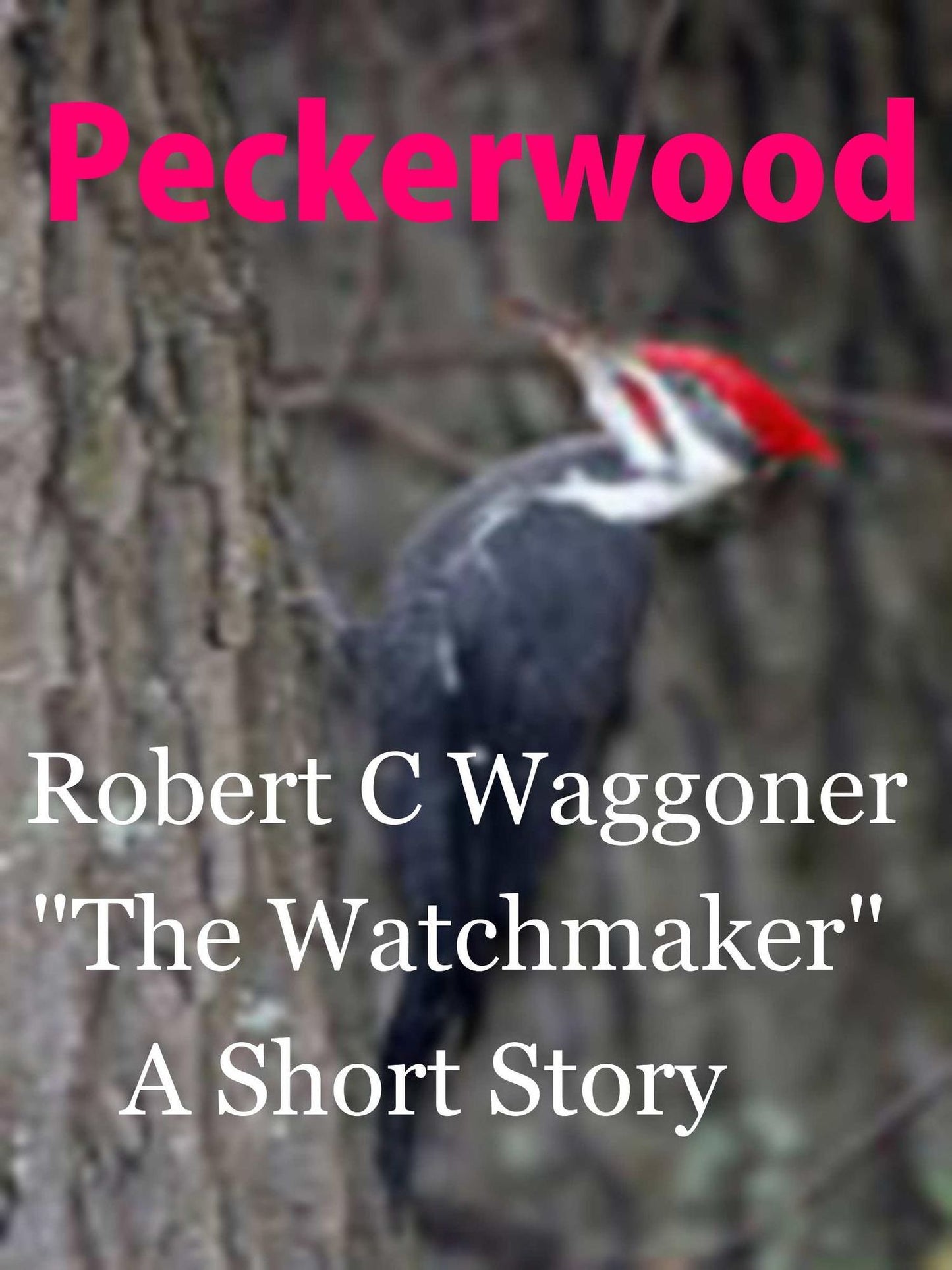 The Watch Maker