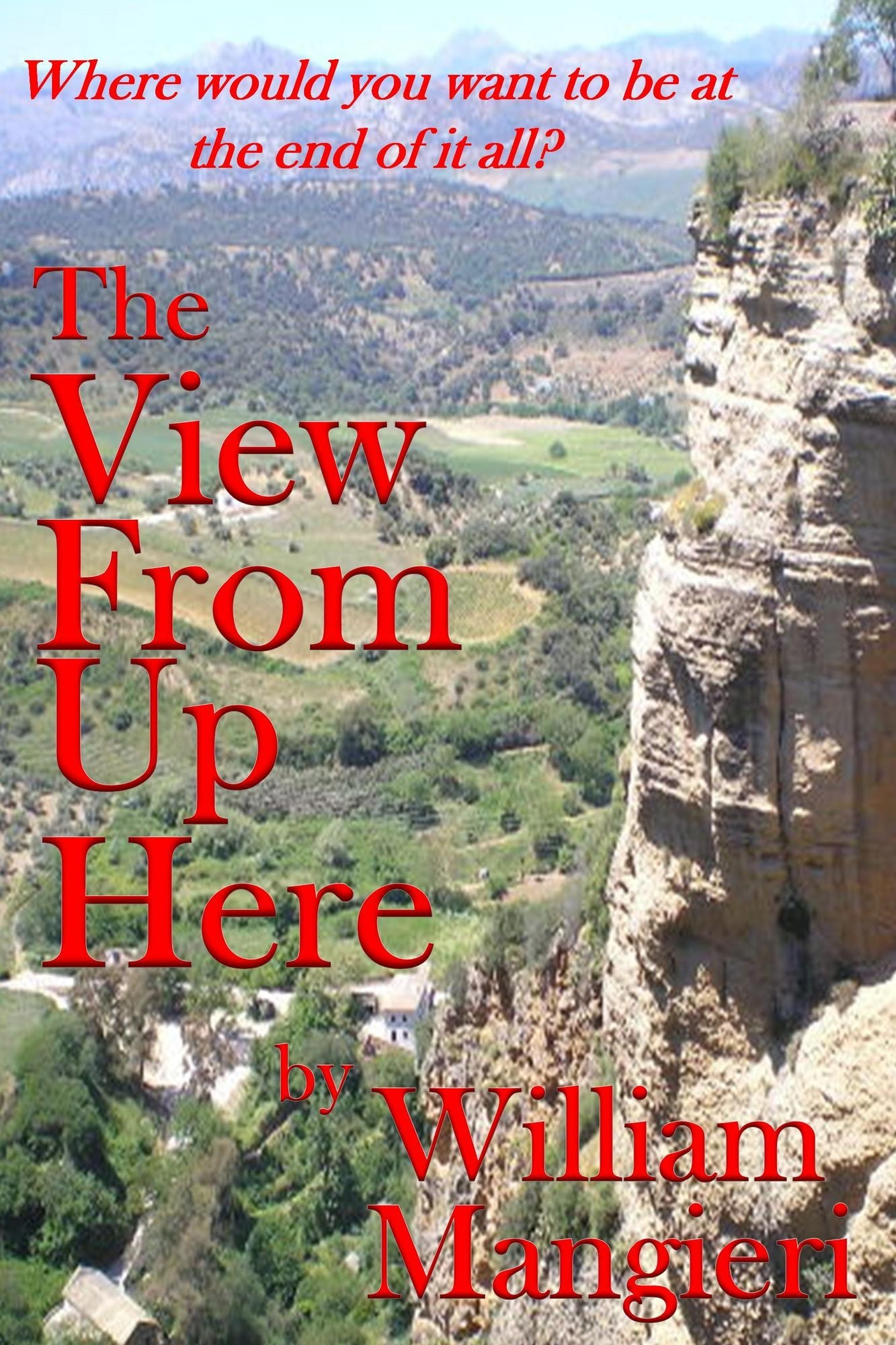 The View From Up Here
