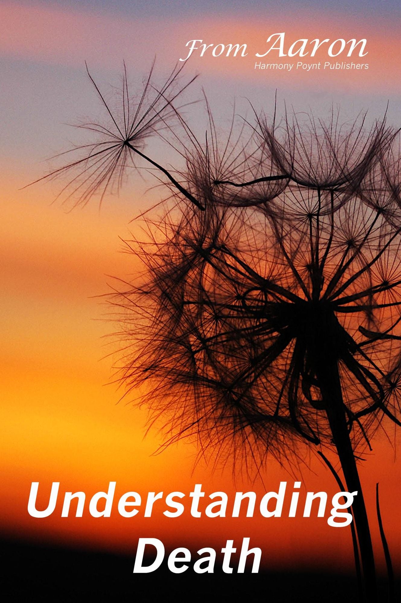 Understanding Death