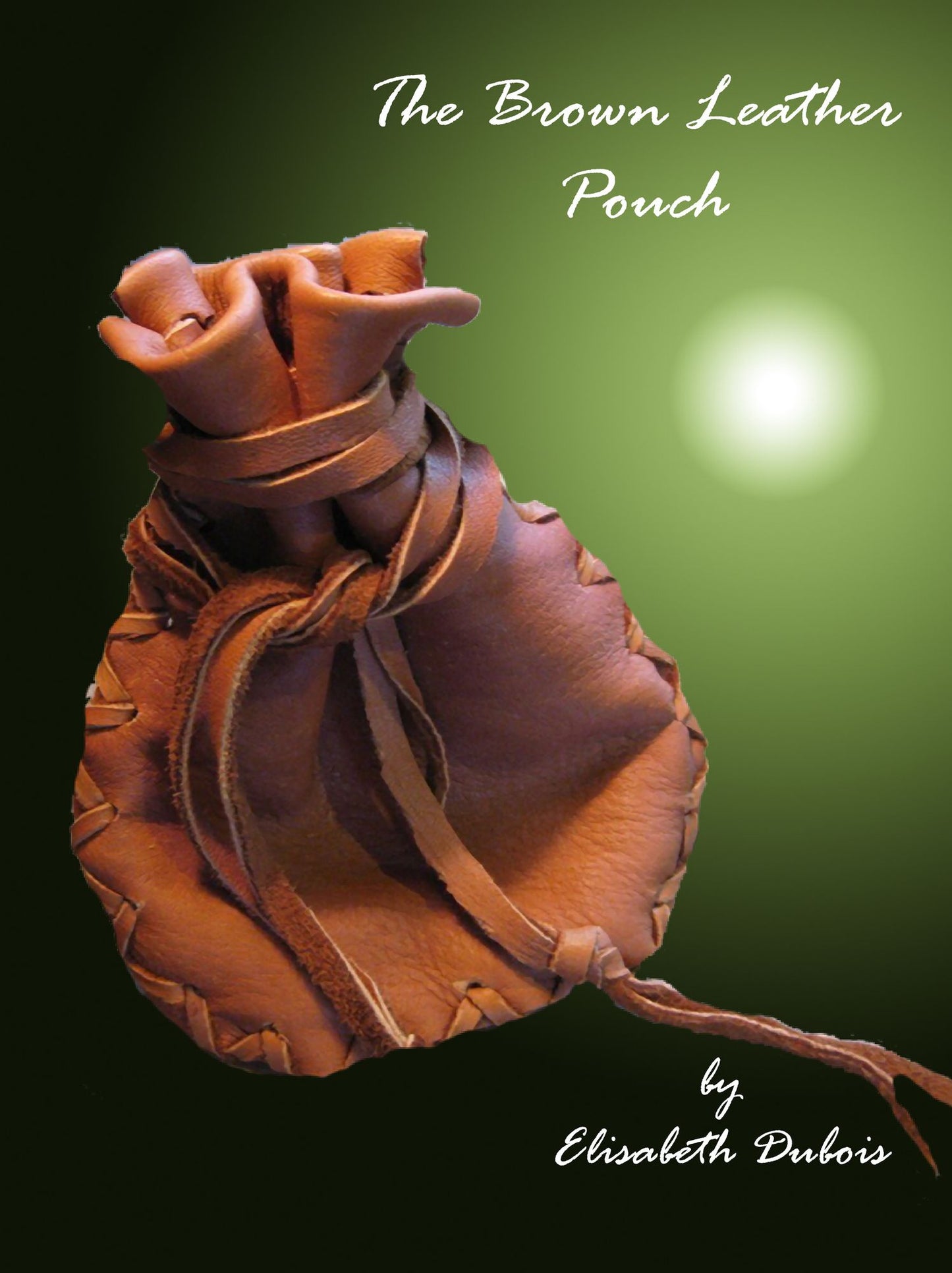 The Brown Leather Pouch