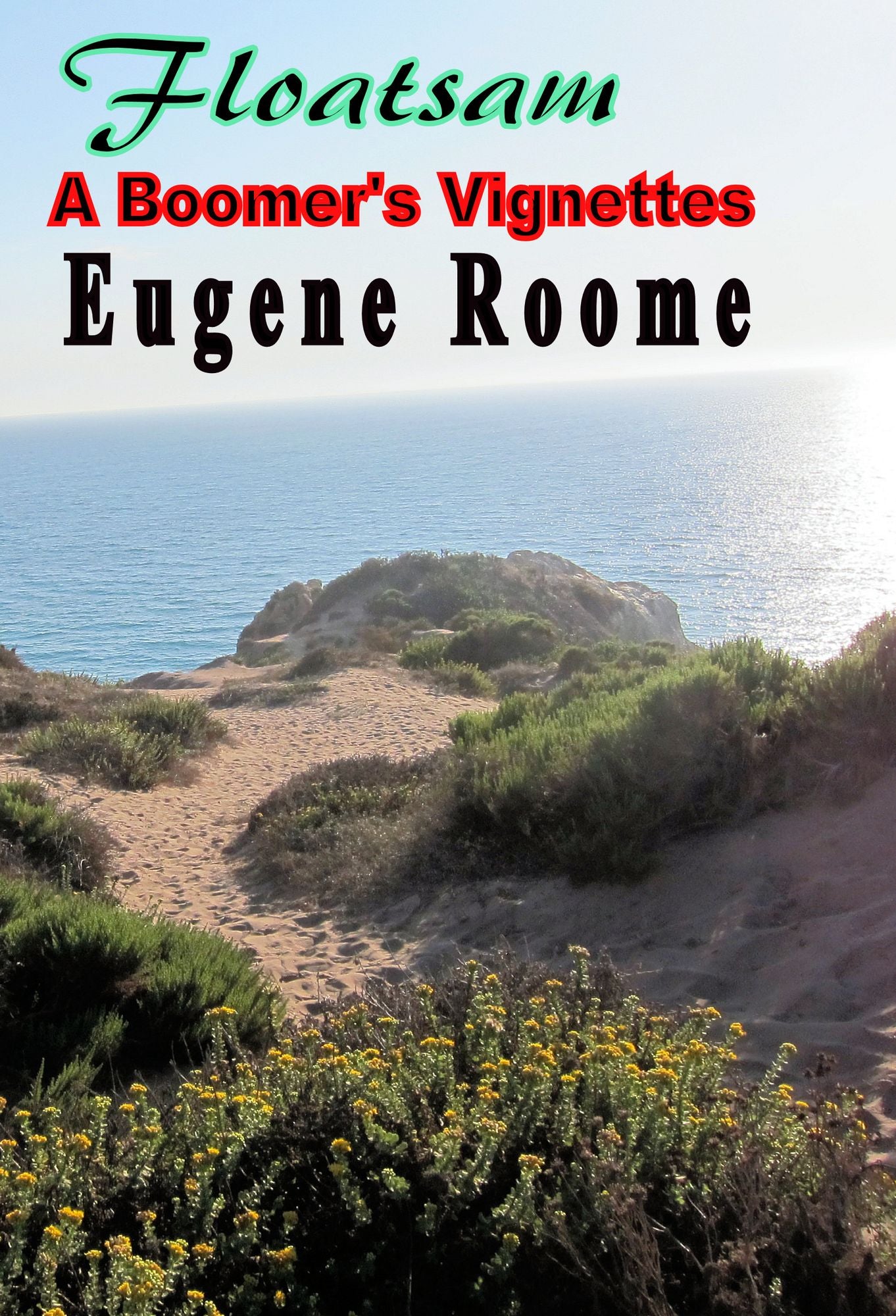 Flotsam: A Boomer's Vignettes
