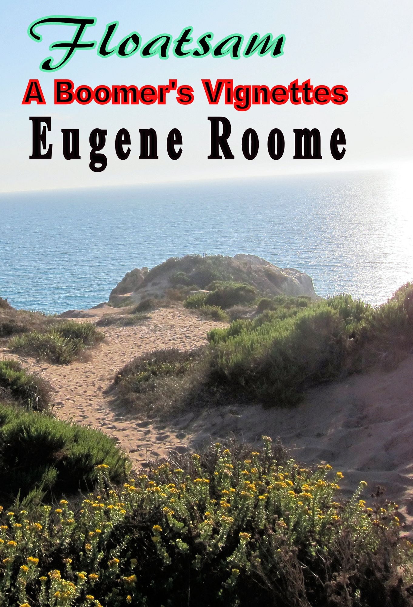 Flotsam: A Boomer's Vignettes