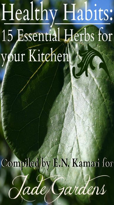 Healthy Habits: 15 Essential Herbs for your Kitchen