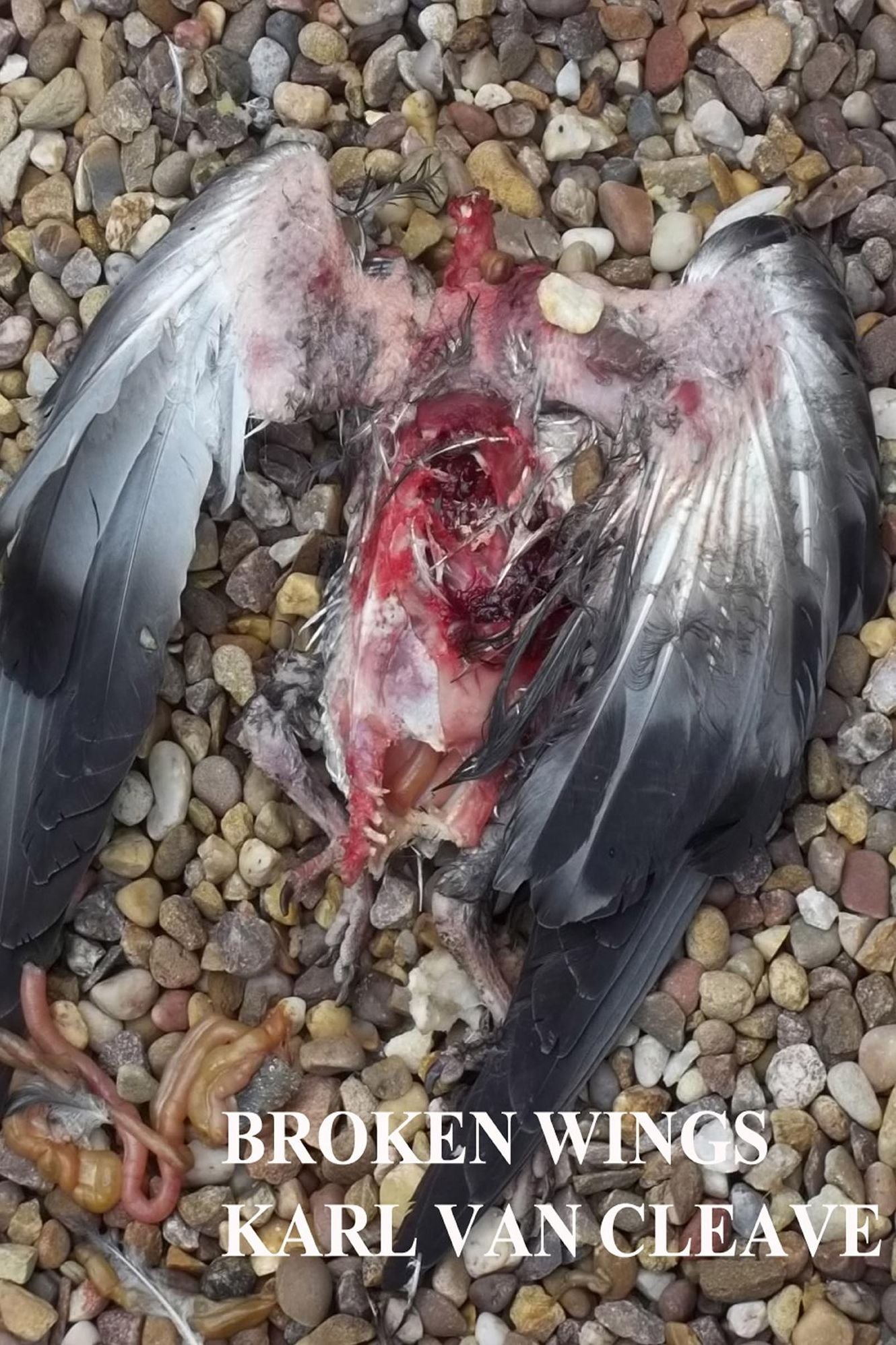 Broken Wings