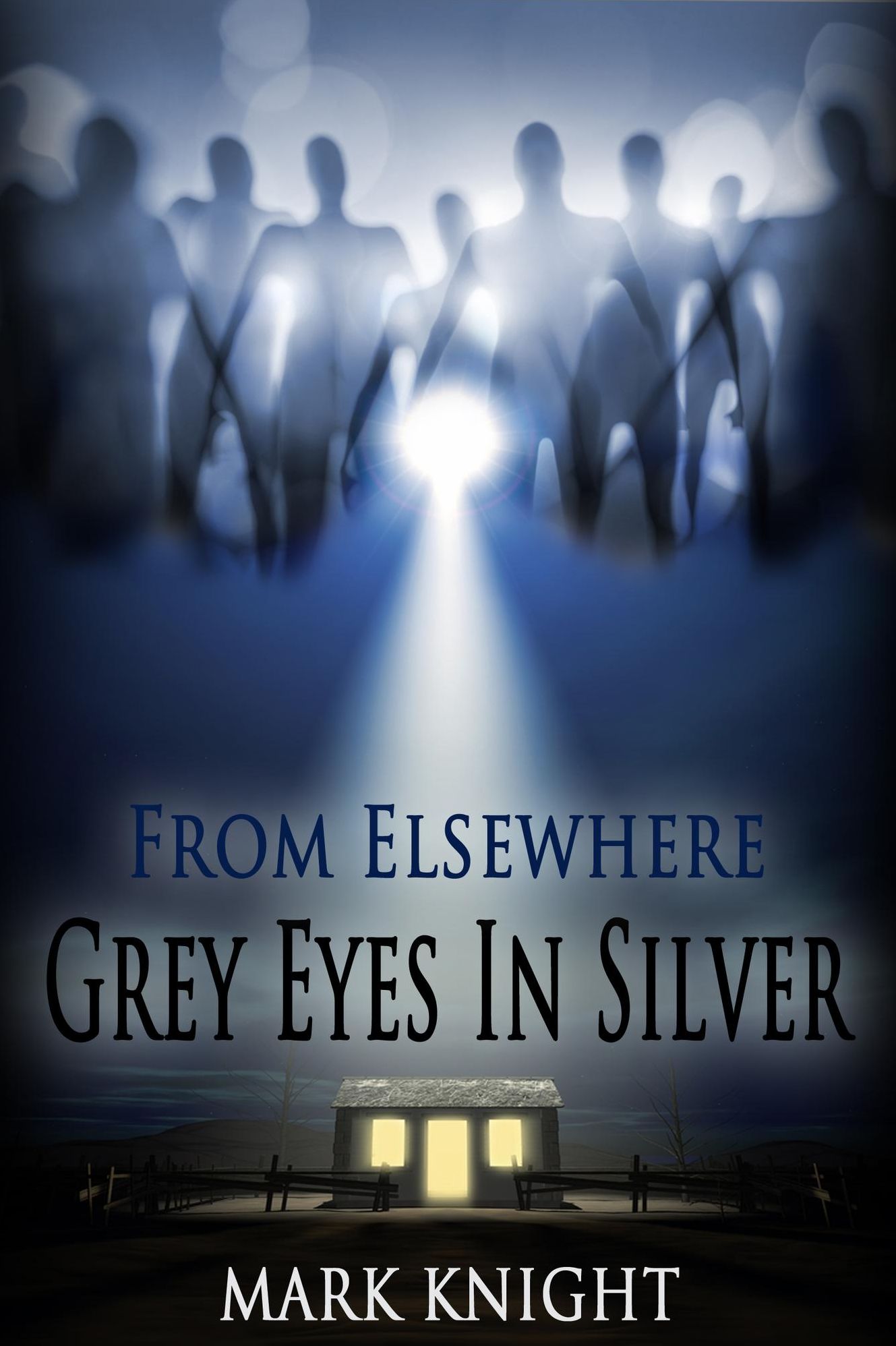 Grey Eyes In Silver