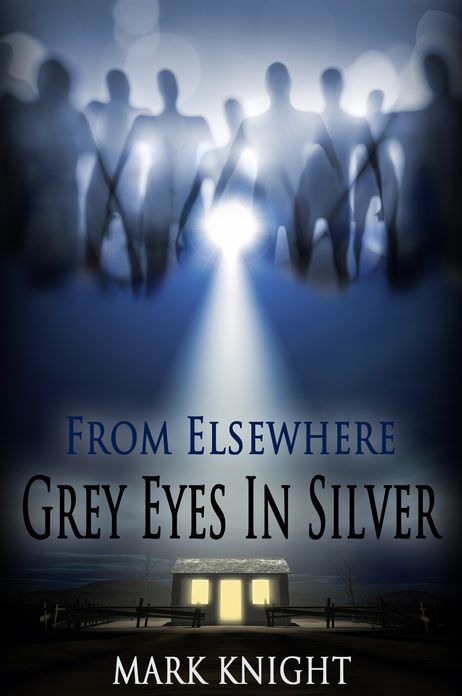 Grey Eyes In Silver