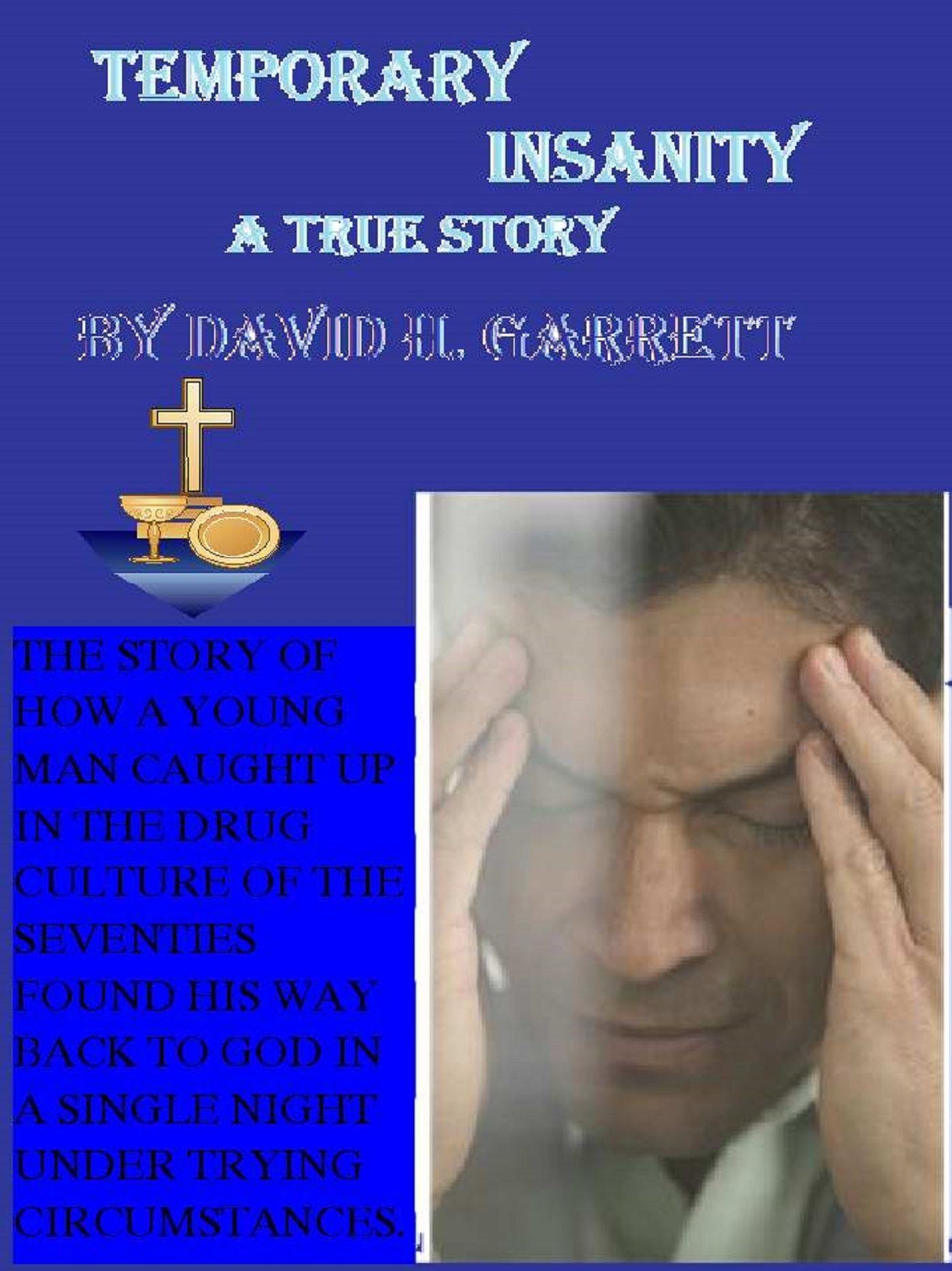 Temporary Insanity