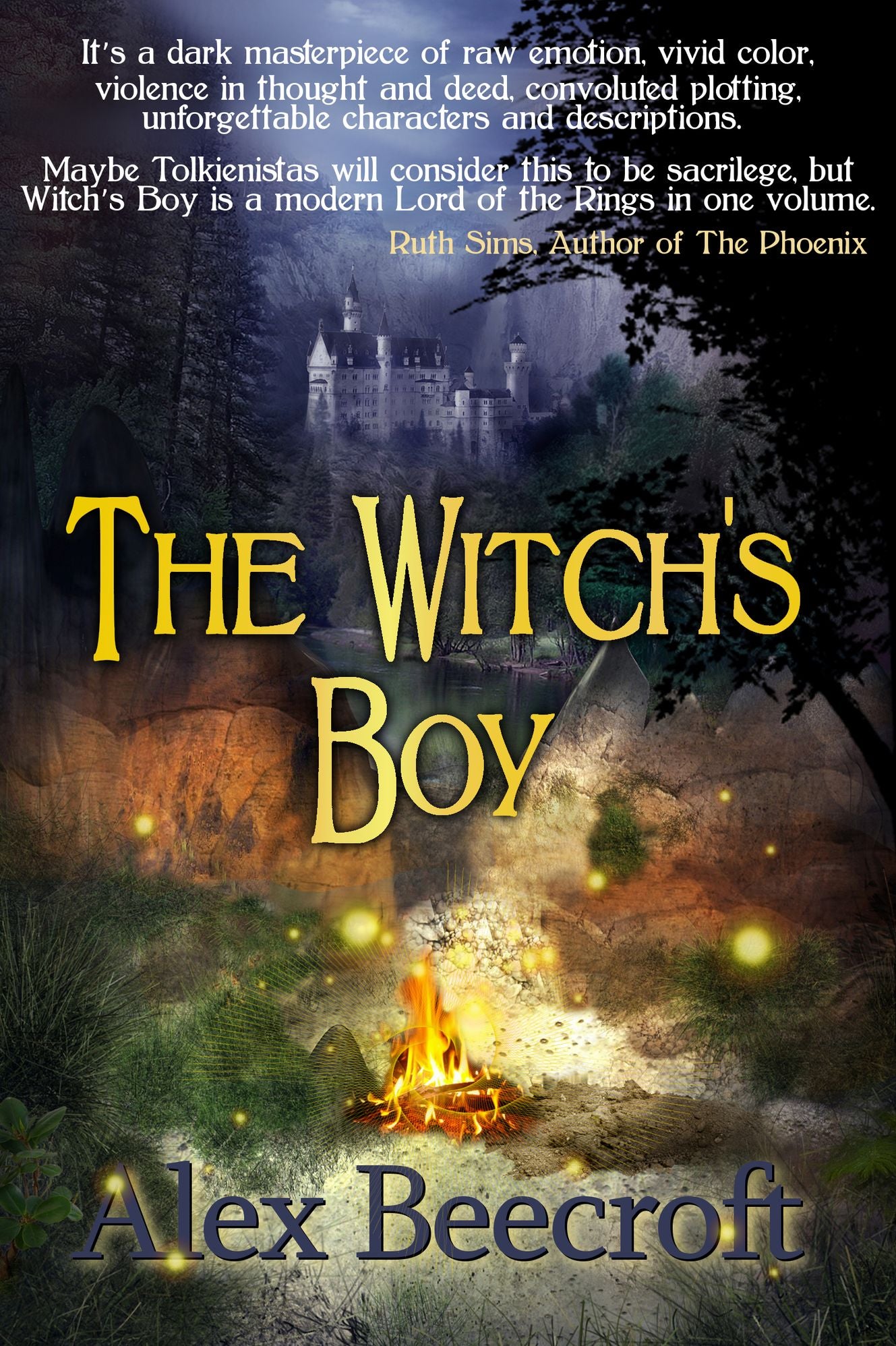 The Witch's Boy