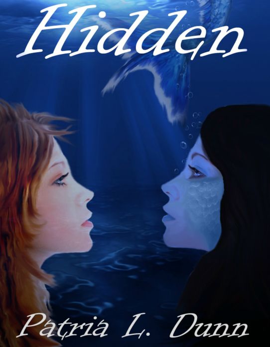 Hidden: Part III-Zerrin