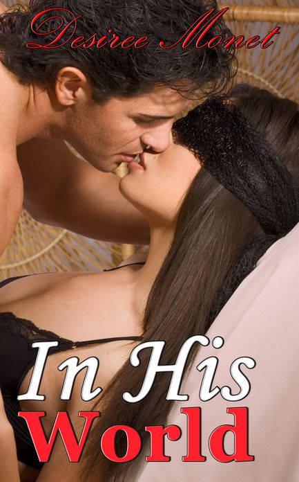 In His World 1 - Billionaire Contemporary Erotic Romance, Domination BDSM Seduction Erotica