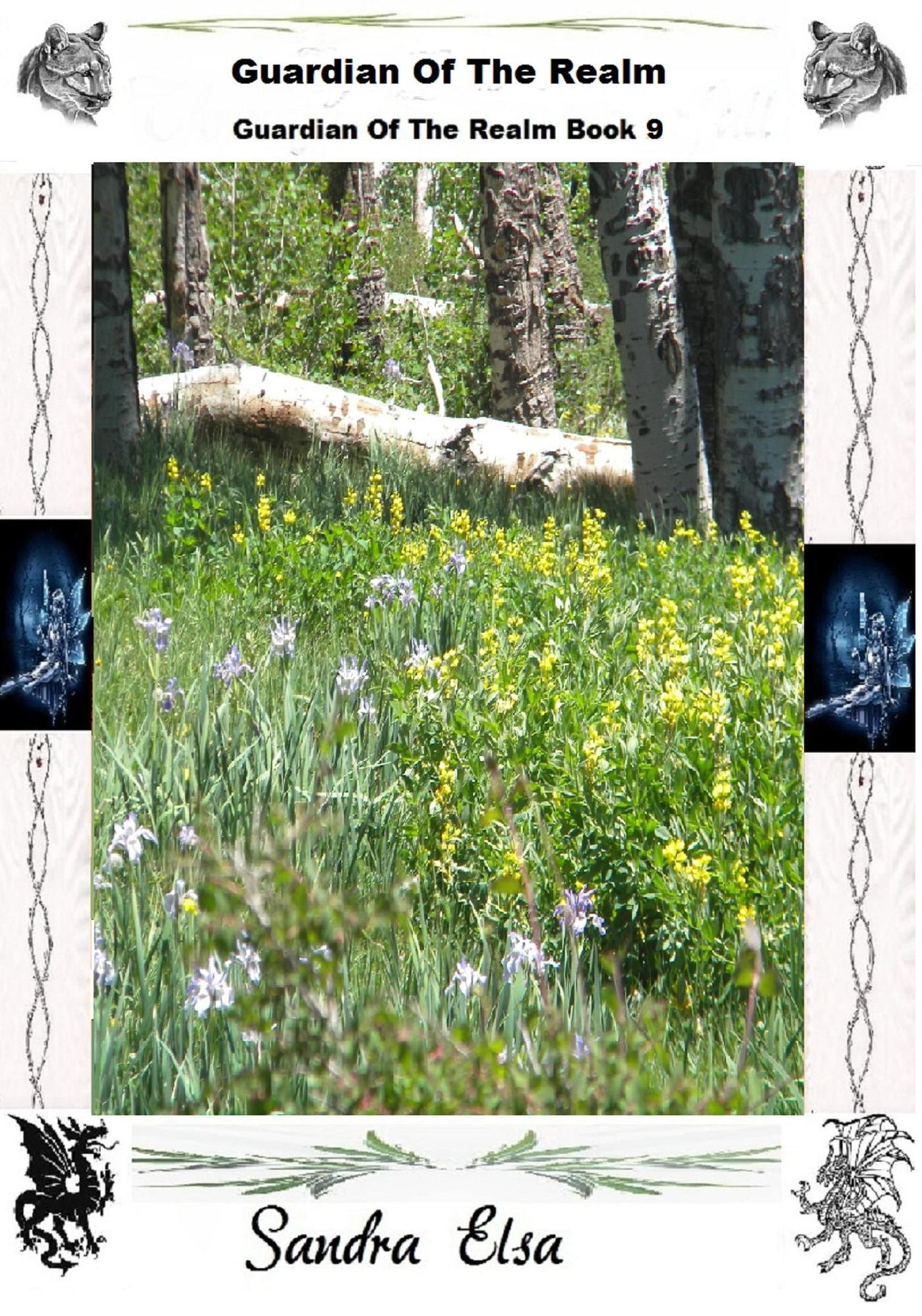 Guardian Of The Realm--- Book 9 Guardian Of The Realm