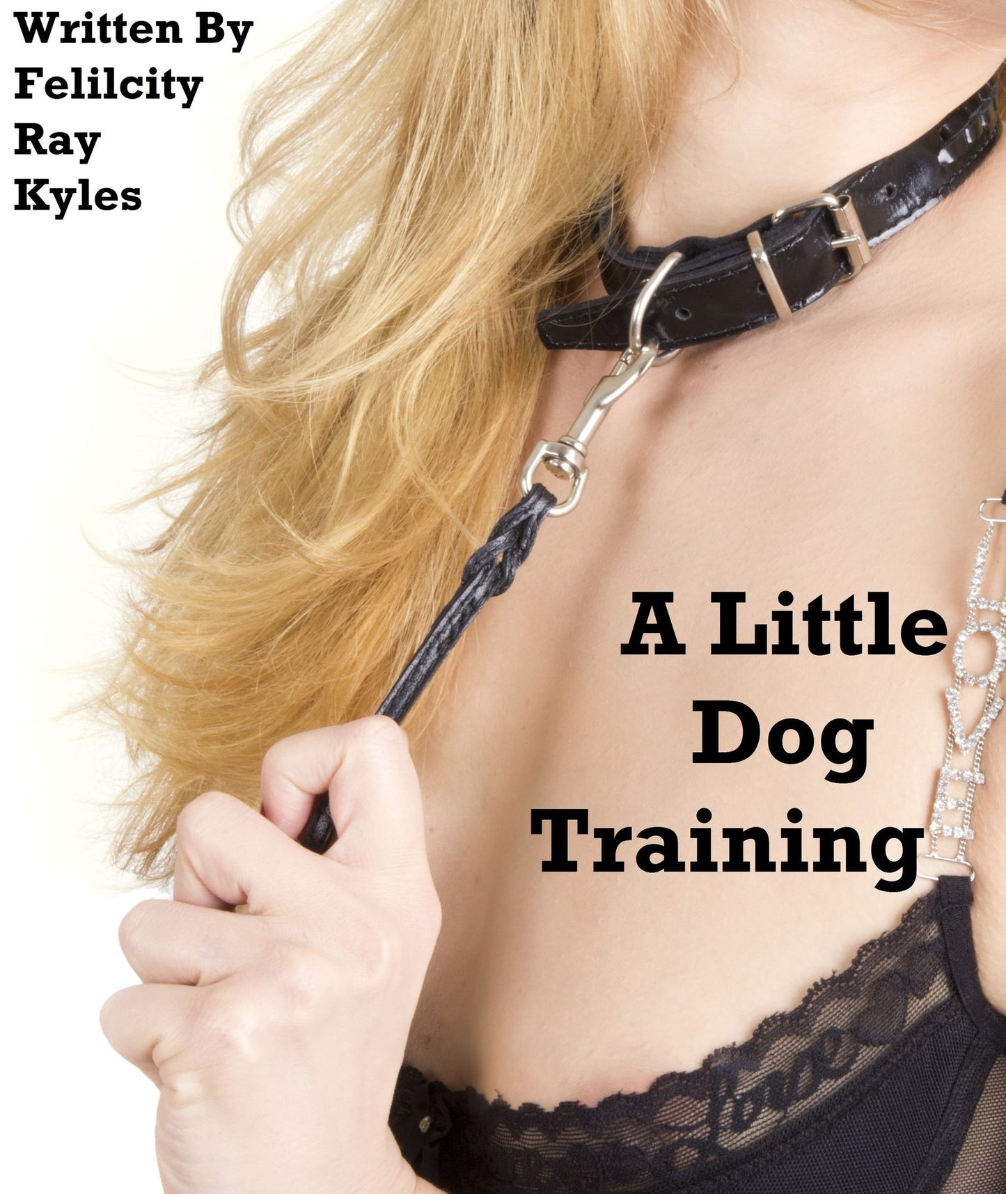A Little Dog Training (Pet Play)