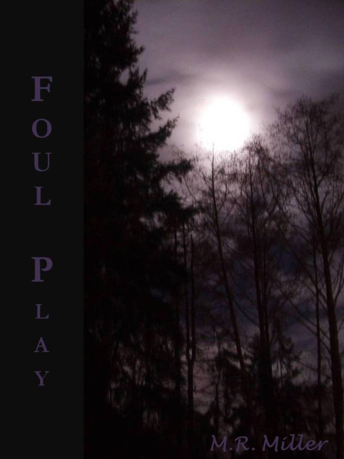 Foul Play (An Emily O'Brien novel #3)