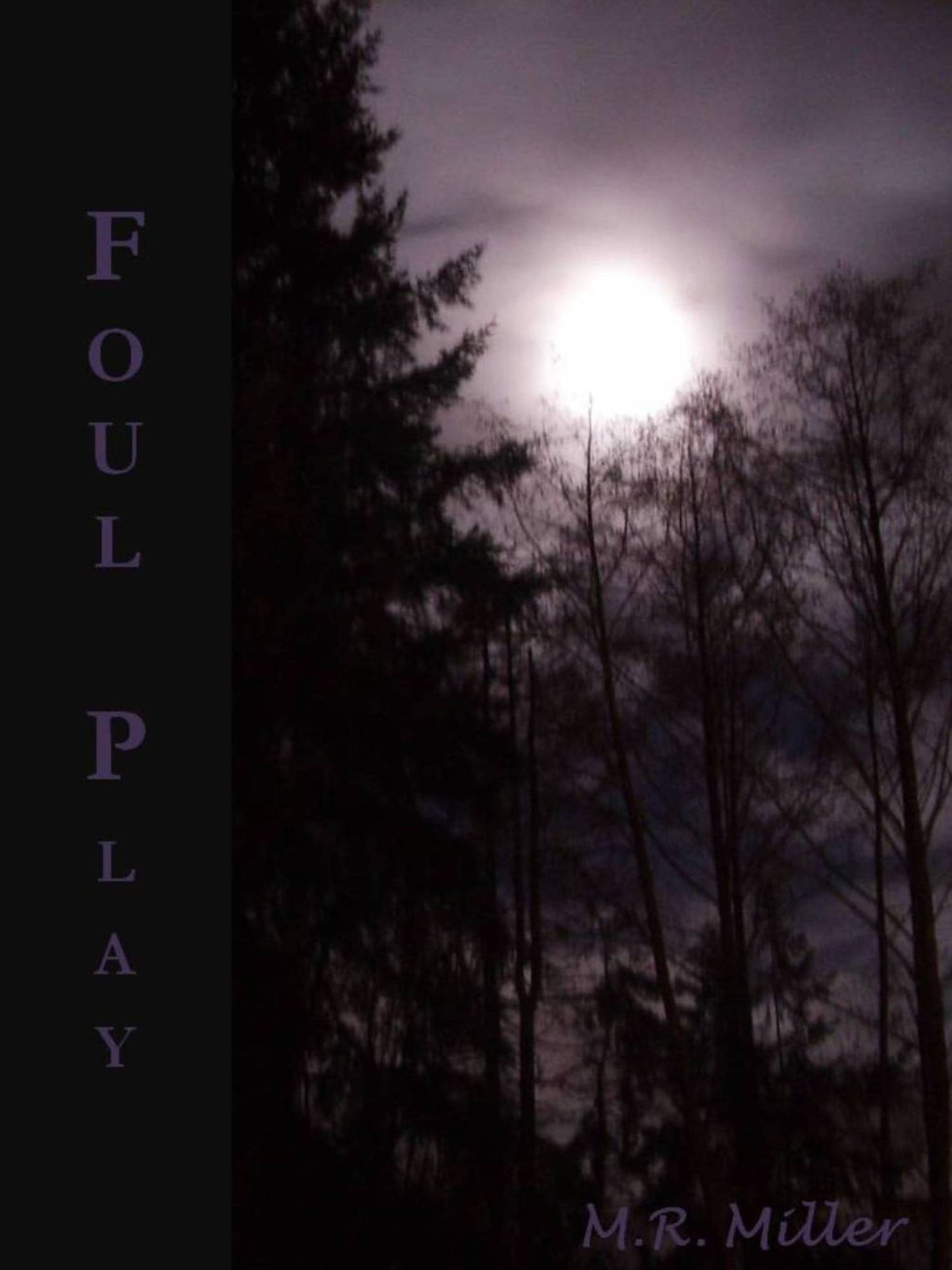 Foul Play (An Emily O'Brien novel #3)