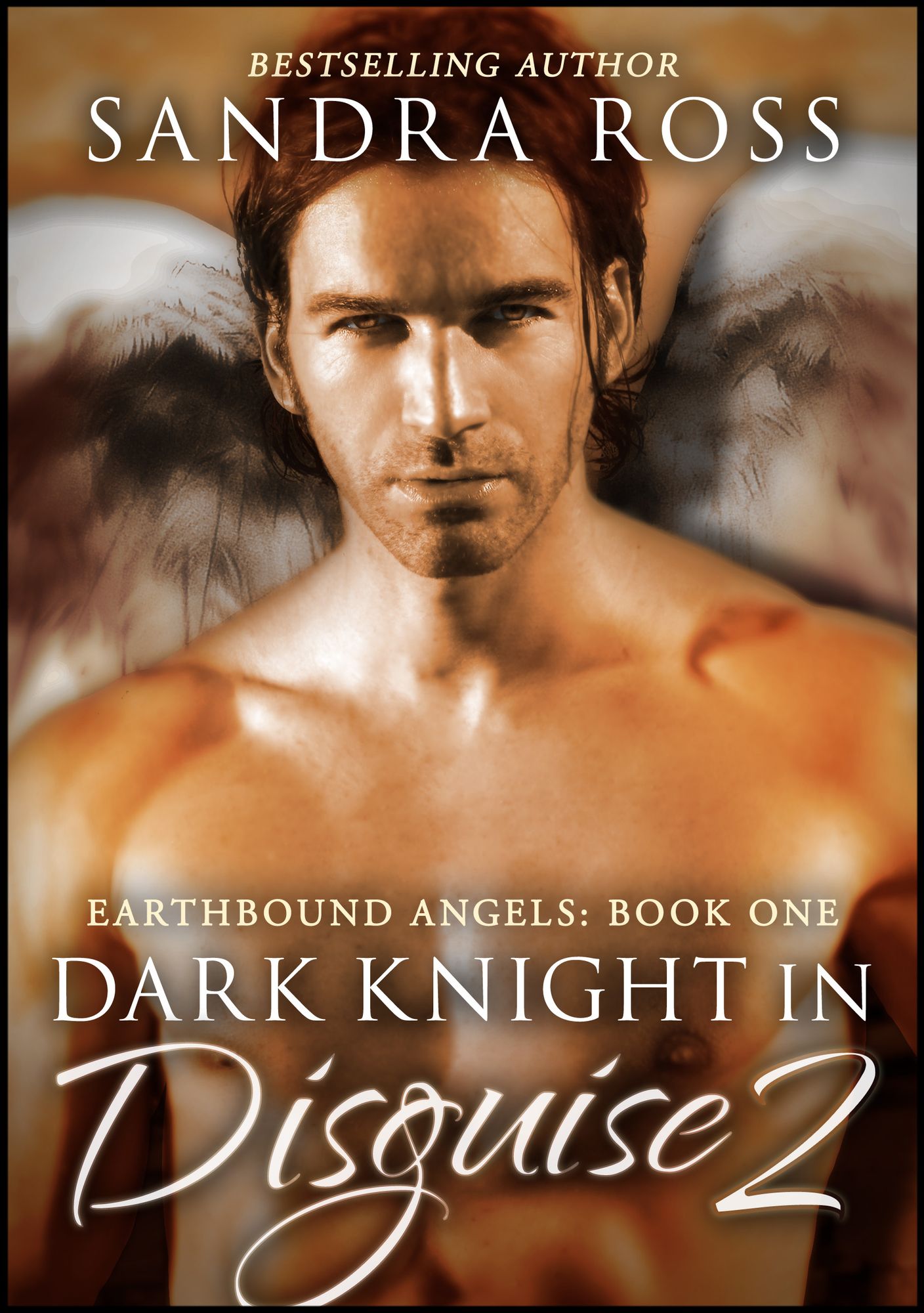 Dark Knight in Disguise II: Earthbound Angel 1