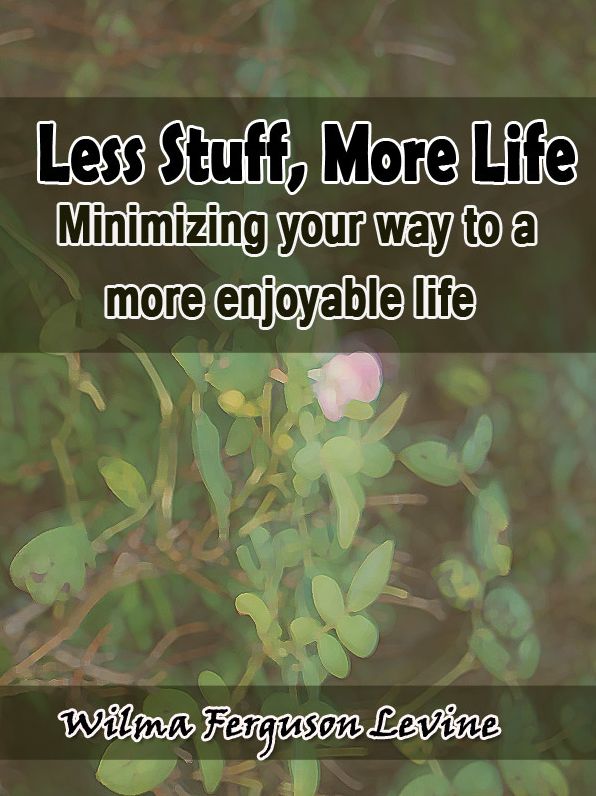 Less Stuff, More Life: Minimizing your way to a more enjoyable life