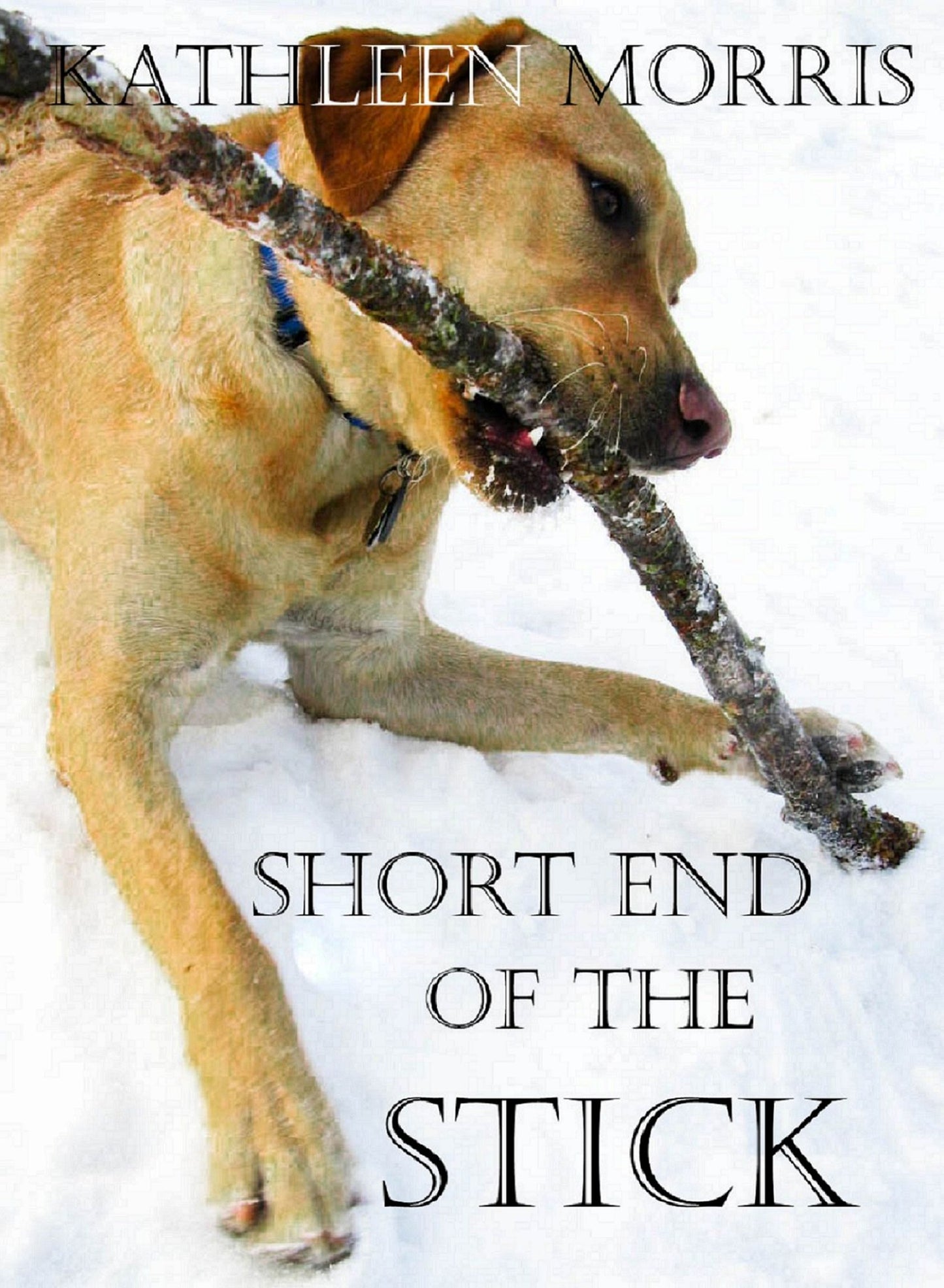 Short End Of The Stick
