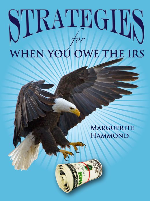 Strategies for When You Owe the IRS
