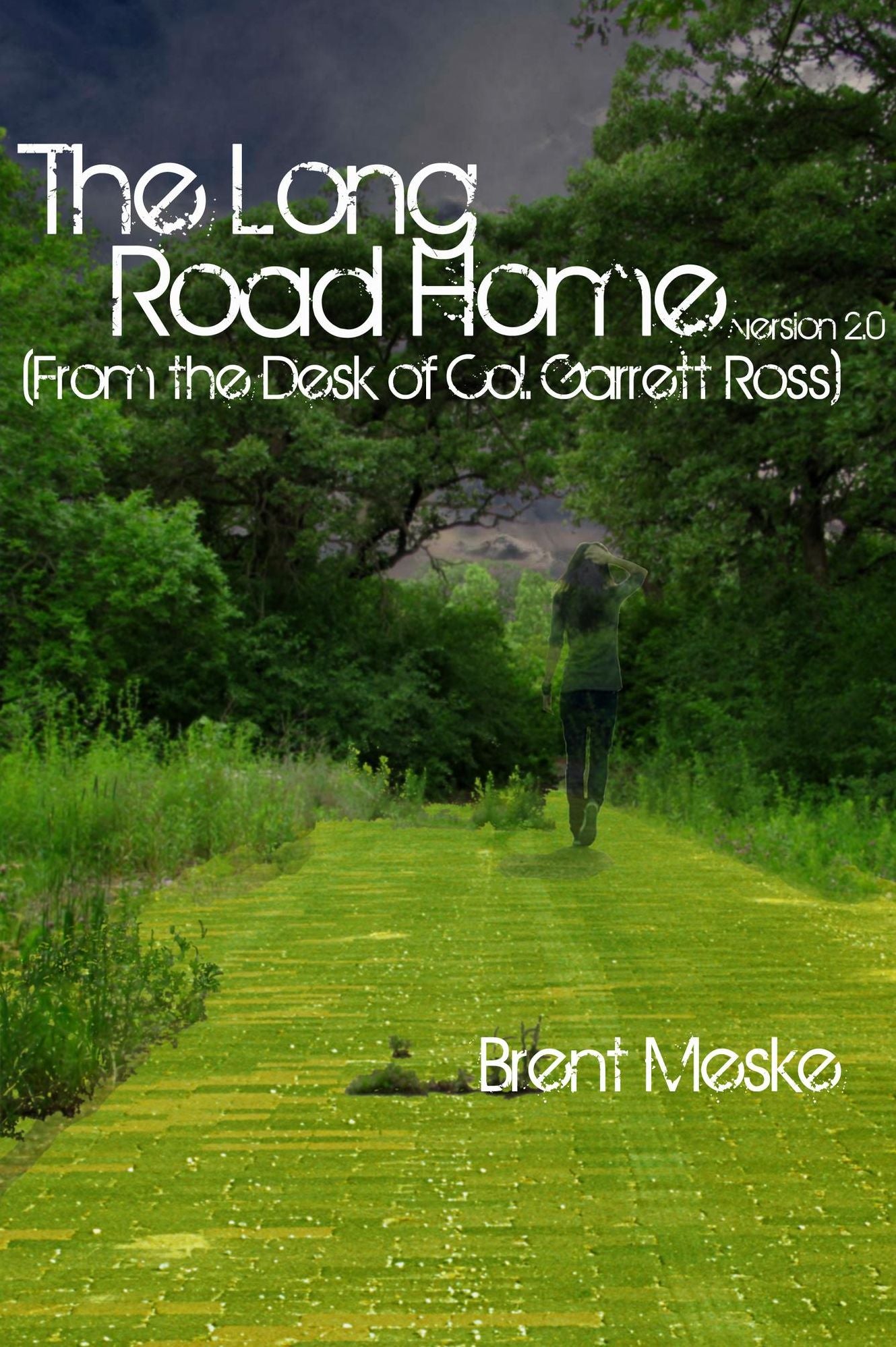 The Long Road Home (From the Desk of Col. Garrett Ross)