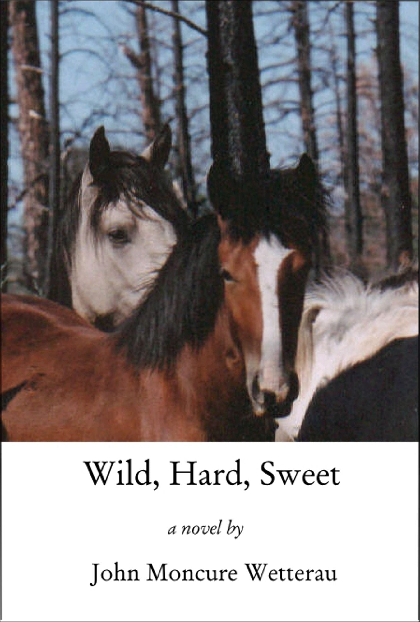 Wild, Hard, Sweet
