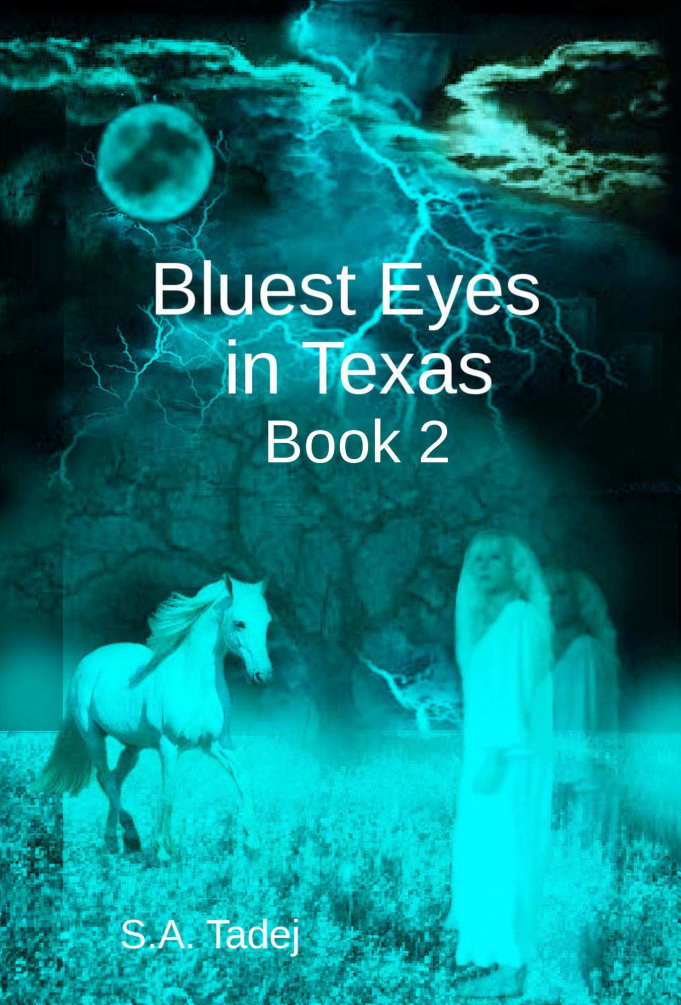 Bluest Eyes in Texas: Book 2